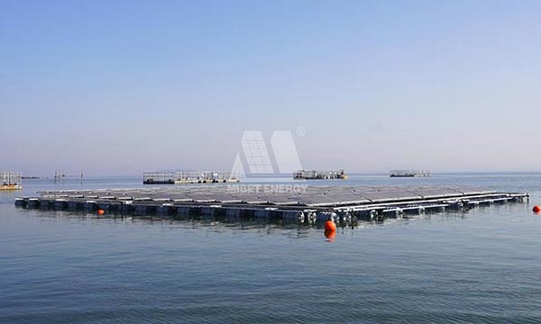 Offshore-PV-System von Mibet erfolgreich in Küstennähe installiert
        